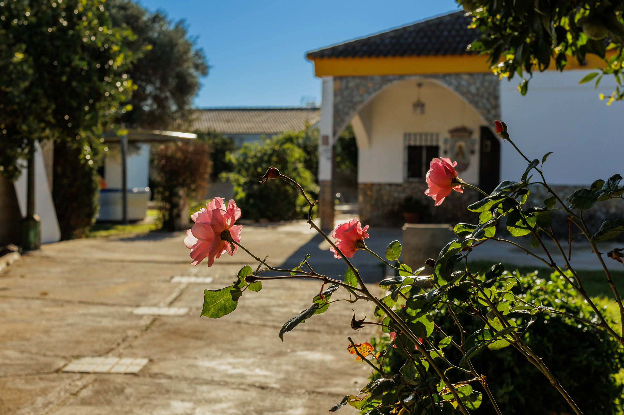Villa Tranquilidad